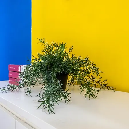 Mondrian House *